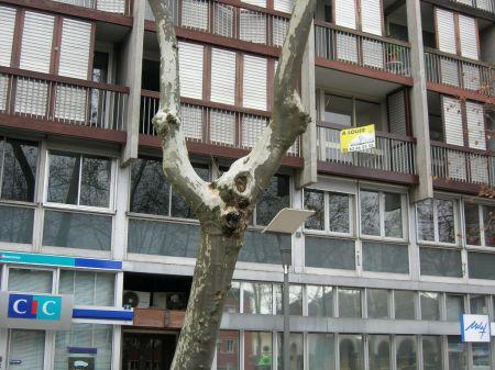 Location - Appartement - 3 pièces - 65.78 m² - montauban