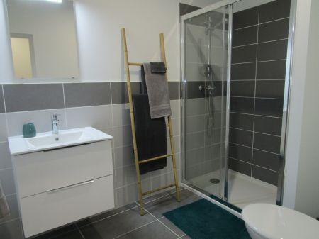 Location - Appartement - 1 pièces - 53.00 m² - montauban