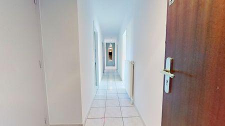 Location - Appartement - 3 pièces - 76.00 m² - montauban