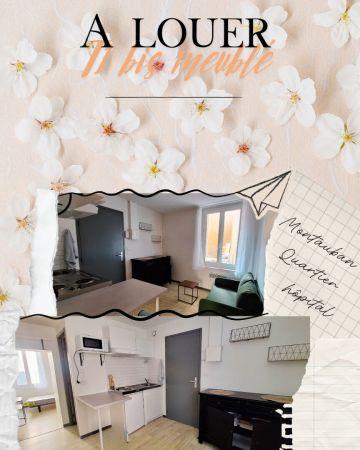 Location - Appartement - 2 pièces - 20.00 m² - montauban