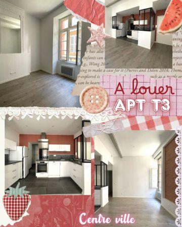 Location - Appartement - 3 pièces - 55.80 m² - montauban