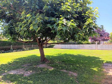 Vente - Maison - 4 pièces - 90.00 m² - montbartier