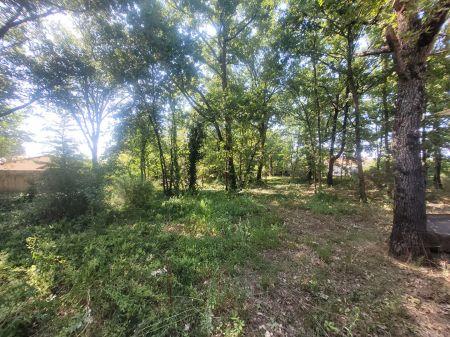 Vente - Maison - 6 pièces - 142.00 m² - montbeton