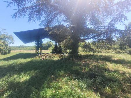 Vente - Autre bien - montauban