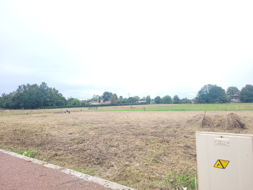 Terrain